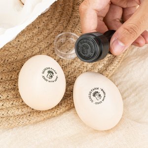 Gepersonaliseerd Kippensilhouet Eierstempel Boerderij Ei Veilig Etiket met Tekst en Doosje Inkt van Voedselkwaliteit Verjaardagscadeau voor Familie Boer Fokker