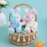 Personalized Gradient Pink Blue Stuffed Bunny Plush Toy with Name and Year Easter Basket Filler Birthday Gift for Kids