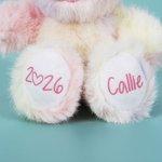 Personalized Gradient Pink Blue Stuffed Bunny Plush Toy with Name and Year Easter Basket Filler Birthday Gift for Kids