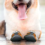 Henkilökohtainen monivärinen Camouflage Design liukastumaton Dog kengät Hot jalkakäytävällä nimi Outdoor tarvikkeet Syntymäpäivälahja koiran omistajille