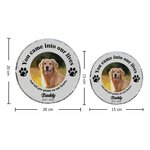 Personalisierter Trauerstein mit Pfotenabdrücke Haustierfoto Namen und Jahr Gartendekoration Erinnerungsstück Geschenk für Tierhalter