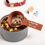 Cucchiaio personalizzato in plastica multicolor con avatar foto e nome del cane regalo perfetto per feste di compleanno per proprietari di cani