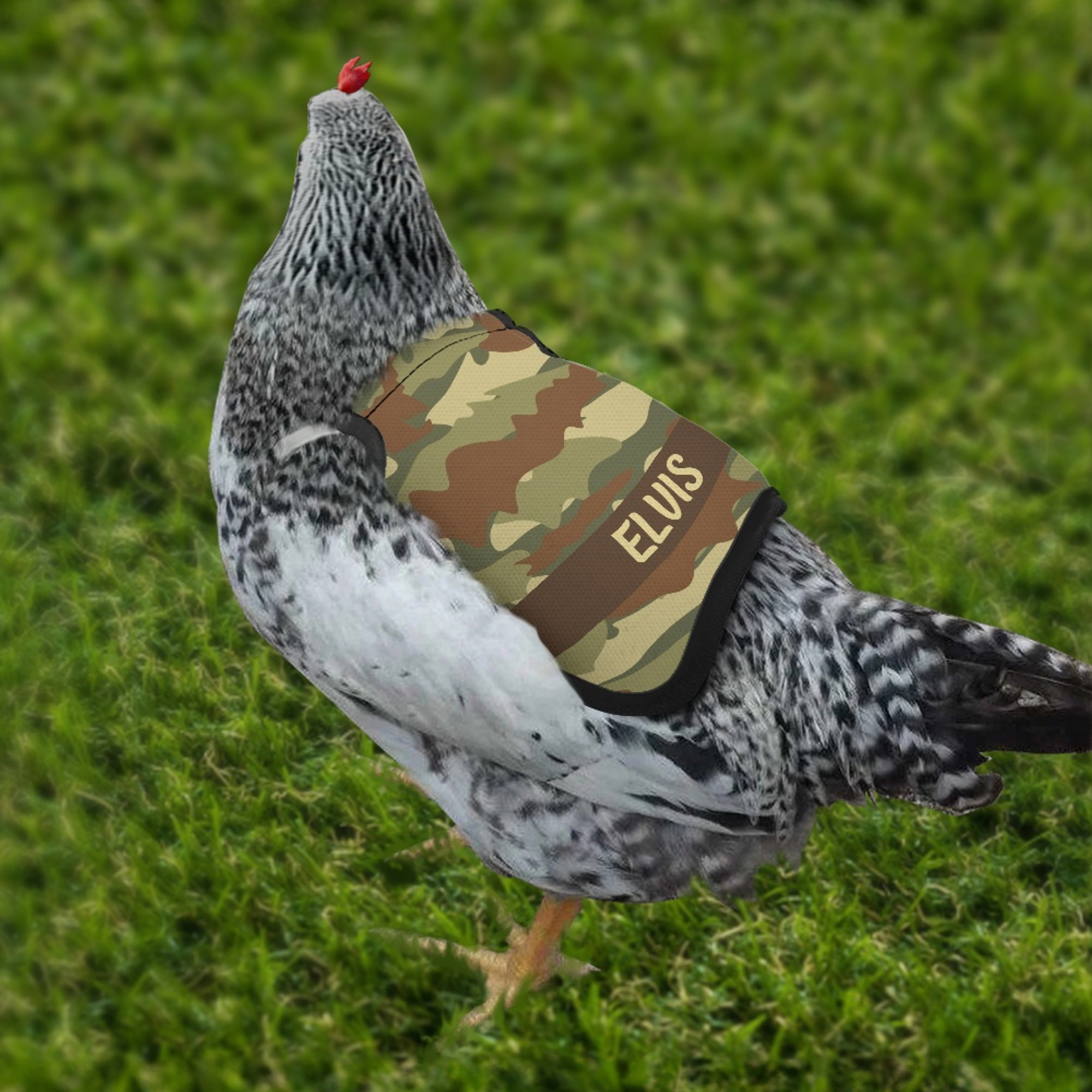 Protège-Poule Respirant Personnalisé avec Nom et Motif Camouflage Multicolore Cadeau pour Éleveurs et Propriétaires de Poules