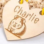 Gepersonaliseerde schattige cavia houten plaquette met naam huisdier benodigdheden vakantie verjaardagscadeau voor dierenliefhebbers