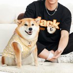 Personalisierte Hund Muster Streifen Design Haustier Foto Multicolor Soft T-shirt Haustier Weste Haustier Lätzchen Set mit Namen Geburtstag Geschenk für Hundeliebhaber