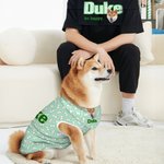Personalisierte Hund Muster Streifen Design Haustier Foto Multicolor Soft T-shirt Haustier Weste Haustier Lätzchen Set mit Namen Geburtstag Geschenk für Hundeliebhaber