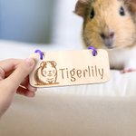 Gepersonaliseerde schattige cavia houten plaquette met naam huisdier benodigdheden vakantie verjaardagscadeau voor dierenliefhebbers