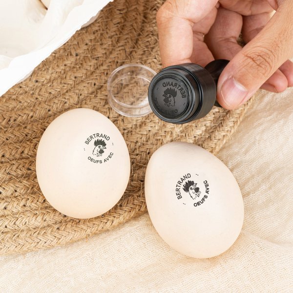 Tampon d'Oeuf Personnalisé avec Texte Boîte en Fer Inclue Encre Non Toxique Cadeau Anniversaire Fête des Mères Pères pour Famille Fermier