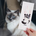 Personalized Waterproof Non-Toxic Cat Scratch Temporary Tattoo with Name Set of 4 Birthday Gift for Pet Lovers