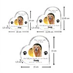 Personalisierte Acryl-Gedenktafel mit Pfotenabdrücken Haustier-Foto Namen und Zeit Wohndekoration Erinnerungsstück Geschenk für Tierhalter