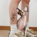 Personalized Waterproof Non-Toxic Cat Scratch Temporary Tattoo with Name Set of 4 Birthday Gift for Pet Lovers