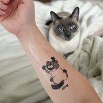 Personalized Waterproof Non-Toxic Cat Scratch Temporary Tattoo with Name Set of 4 Birthday Gift for Pet Lovers