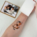 Personalized Waterproof Non-Toxic Cat Scratch Temporary Tattoo with Name Set of 4 Birthday Gift for Pet Lovers