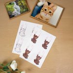 Personalized Waterproof Non-Toxic Cat Scratch Temporary Tattoo with Name Set of 4 Birthday Gift for Pet Lovers