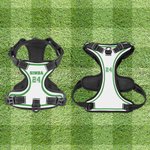 Pettorina per cani regolabile personalizzata in poliestere a tema sportivo con numero e nome regalo unico per attività all'aperto per animali dometici