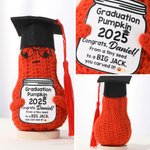 Personalised Cute Tassel Grad Cap Pumpkin Potato Avocado Handmade Crochet Doll with Name and Year Desktop Decor Graduation Party Gift for Graduates