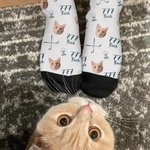 Personalized Golf Ball Club Lucky Number Face Photo Soft Breathable Mid-Calf Socks Anniversary Birthday Gift for Men Golf Players