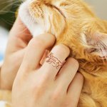 Personalized Cute Dog Cat Silhouette Ring with Name Minimalist Jewelry Birthday Anniversary Gift for Pet Lovers