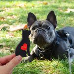 Personalised Mini Pocket Dog Wooden Figurine Plaque with Red Heart Engraved Name Collectible Statue Desk Decor Birthday Gift for Dog Lovers Owners