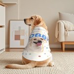 Personalizzato Retro Star Bow Photo Design 100% cotone Pet Vest con nome Pet Party Birthday Gift for Dog Cat Pet Owners