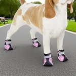Chaussures pour chien antidérapantes personnalisées avec impression de patte multicolore pour trottoir chaud avec nom Accessoires d'extérieur Cadeau d'anniversaire pour les propriétaires de chiens