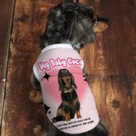 Personalizzato Retro Star Bow Photo Design 100% cotone Pet Vest con nome Pet Party Birthday Gift for Dog Cat Pet Owners