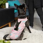 Personalizzato Retro Star Bow Photo Design 100% cotone Pet Vest con nome Pet Party Birthday Gift for Dog Cat Pet Owners