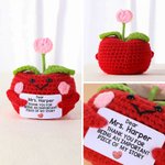 Personalised Cute Apple Gratitude Word Handmade Crochet Doll with Text Desktop Decor Back to School End of Year Appreciation Gift for Teacher