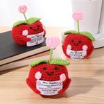 Personalised Cute Apple Gratitude Word Handmade Crochet Doll with Text Desktop Decor Back to School End of Year Appreciation Gift for Teacher