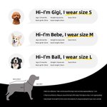 Personalizzato Retro Star Bow Photo Design 100% cotone Pet Vest con nome Pet Party Birthday Gift for Dog Cat Pet Owners