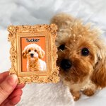 Personalized Oil Painting Frame Photo Fridge Magnet with Name Home Decor Birthday Anniversary Gift for Pet Lover