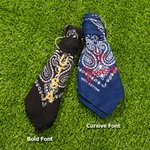 Personalized Retro Removable School Spirit Tag Clear Bag with Embroidered Text Concert Accessory Team Pride Gift for College Student Sports Lovers