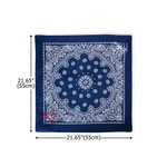 Personalized Retro Removable School Spirit Tag Clear Bag with Embroidered Text Concert Accessory Team Pride Gift for College Student Sports Lovers