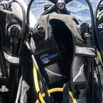 Personalisiertes Besticktes Hai-Motiv Tarierjacken-Kennzeichnungsetikett mit Namensgravur Wassersport Zubehör Geschenk für Tauchen-Liebhaber