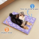 Tapis Rafraîchissant Personnalisé avec Motif Empreinte de Patte et Nom Cadeau Anniversaire Estival pour Propriétaires ou Amoureux des Animaux