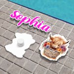 Personifierad söt Highland ko namn akryl väska charm tillbehör för Bogg Bag födelsedagspresent för vänner familj