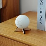 Henkilökohtainen Logo Nimi Numero Lacrosse pallo puinen pohja peli päivä syntymäpäivä lahja valmentaja Lacrosse ystäville joukkuetoverit