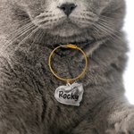 Henkilökohtainen läpinäkyvä kissa muoto söpö ilmaisu avaimenperä nimi lemmikkieläinten hiukset varastointi matkamuisto Memorial sympatia lahja kissan omistajille