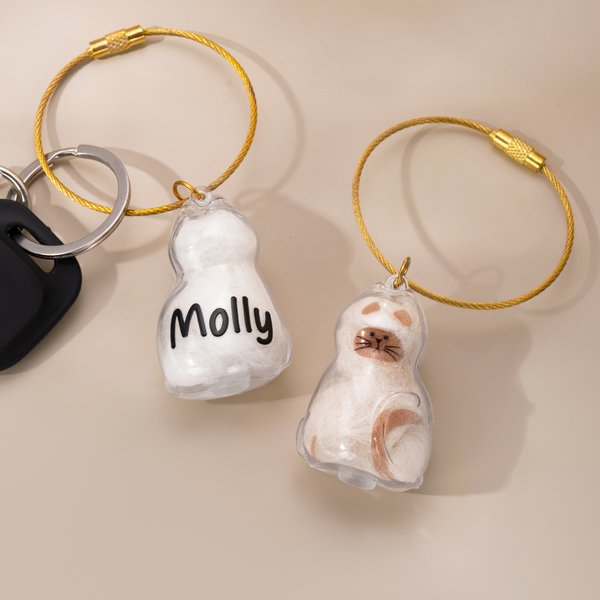 Henkilökohtainen läpinäkyvä kissa muoto söpö ilmaisu avaimenperä nimi lemmikkieläinten hiukset varastointi matkamuisto Memorial sympatia lahja kissan omistajille