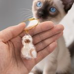 Henkilökohtainen läpinäkyvä kissa muoto söpö ilmaisu avaimenperä nimi lemmikkieläinten hiukset varastointi matkamuisto Memorial sympatia lahja kissan omistajille