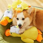 Personalized Cute Yellow Duck Soft Squeaky Plush Toy with Name for Teething Chewing Interactive Pet Supplies Birthday Anniversary Gift for Pet Lovers