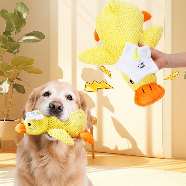 Personalisierte niedliche gelbe Ente weiches Quietschen Plüsch Spielzeug mit Namen für Zahnen Kauen interaktive Haustier liefert Geburtstag Jahrestag Geschenk für Tierliebhaber