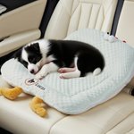 Alfombrilla de refrigeración personalizable con foto y nombre de la mascota con soporte y asa de espuma de confort Artículos para mascotas Regalo de cumpleaños para dueños de mascotas