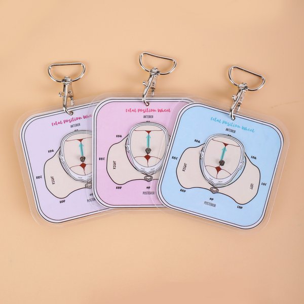 Personlig Fetal Position Wheel Badge med namn och titel Labor Delivery Visual Education Aide Graduation Gift för barnmorskestudenter