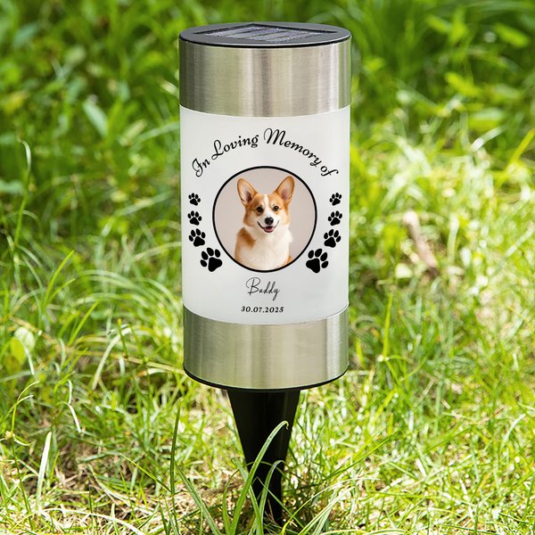 Personalized Wing Paw Print Dog Cat Photo Solar Garden Light with Name Title and Date Garden Decor Memorial Sympathy Loss of Pet Gift for Pet Lovers