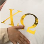 Personalized Sorority Golden Greek Letter Cozy Lumbar Throw Pillow Cover Home Decor Big Day Gift for Friend Girls | Callie × Affinity Licensing