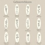 Gepersonaliseerde Gegraveerde Geboortebloem Dunne Ring met Naam Minimalistische Sieraden Verjaardag Moederdagcadeau voor Haar