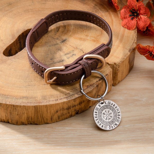 Personlig nordisk vikingahundbricka med namn och text Husdjurstillbehör för dagligt bruk Husdjursfest Födelsedagspresent för husdjursägare som älskar nordisk kultur