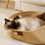 Personalized Cute Pet Photo Cotton Linen Pet Bed Basket with Handle and Name Medium Large Cat Daily Use Birthday Adoption Day Gift for Pet Owners