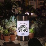 Personalisiertes Flügel Pfote Hund Katze Solar Gartenlicht mit Namen und Foto Balkon Garten Deko Erinnerung Geschenk für Tierliebhaber